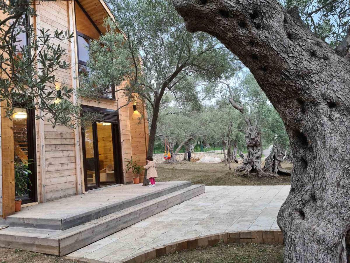 Olea Cottage Ulcinj Bagian luar foto