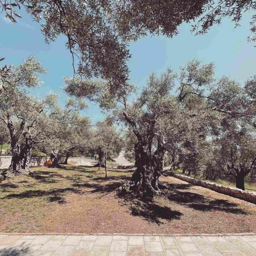 Olea Cottage Ulcinj Bagian luar foto