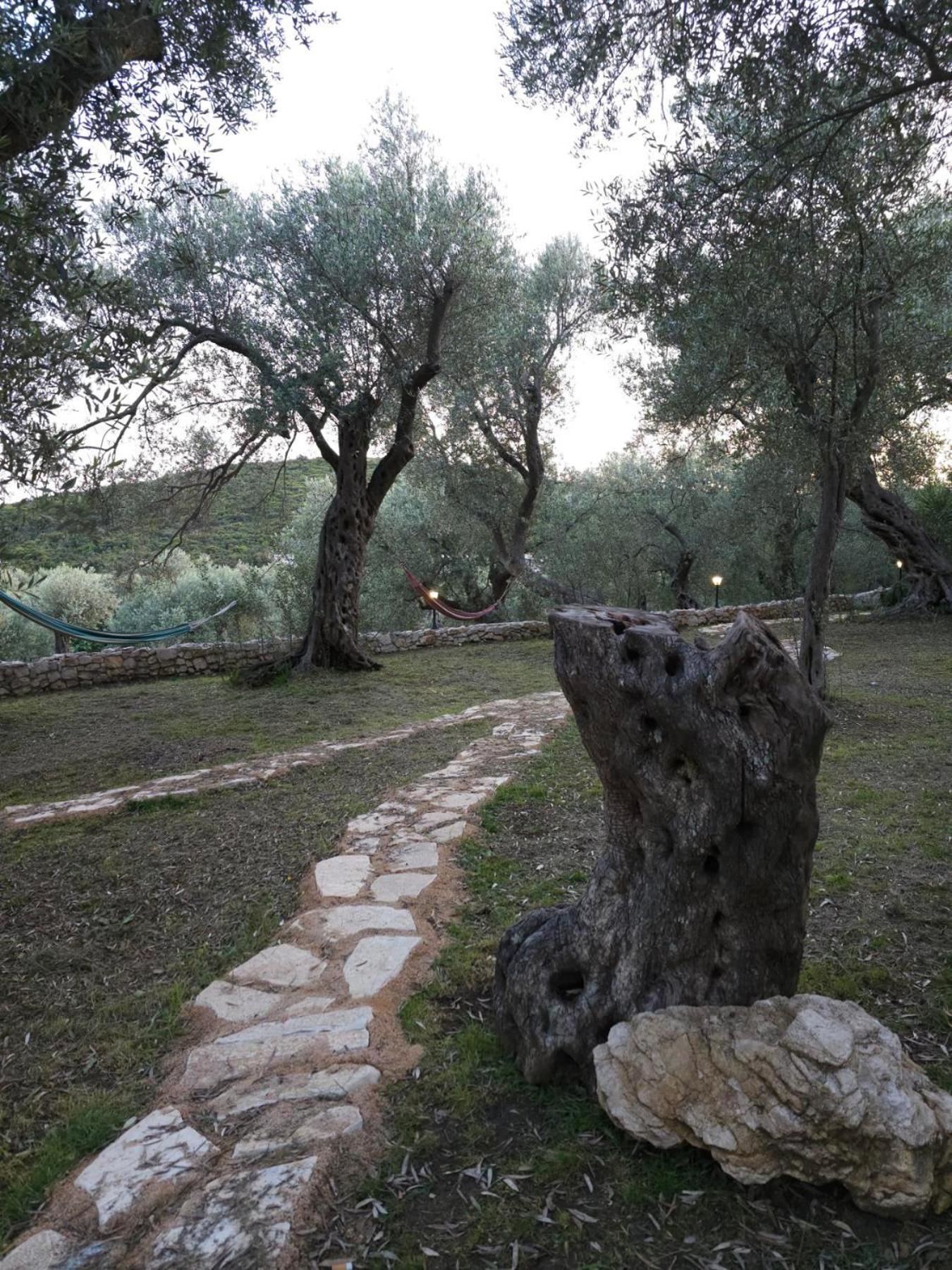 Olea Cottage Ulcinj Bagian luar foto